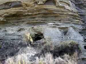 le desert de Tabernas (4)